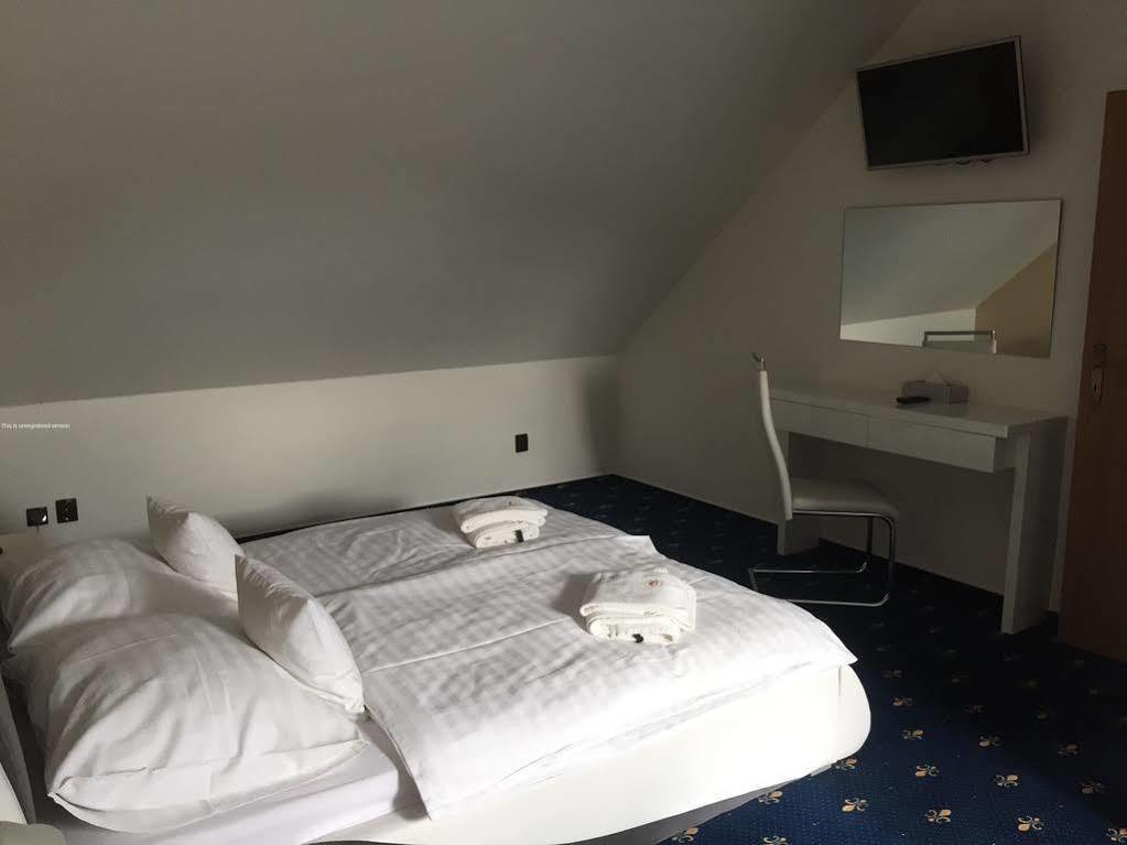 Hotel Savoy 체스케부데요비체 외부 사진